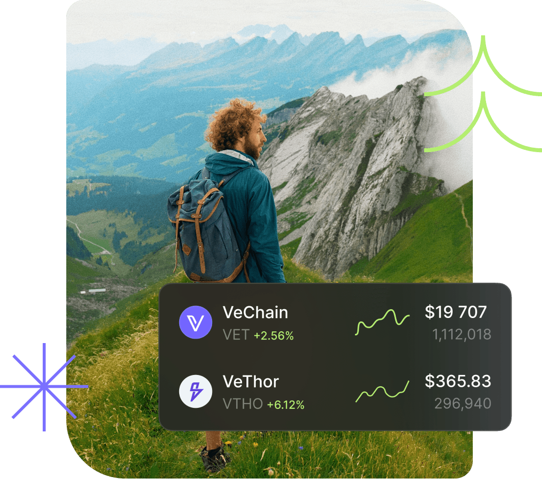 Vechain - key details